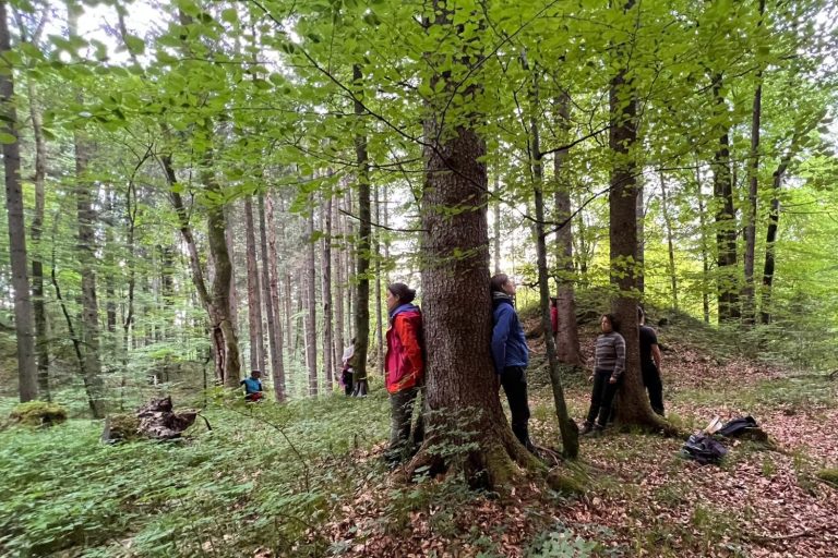 Waldbaden in München