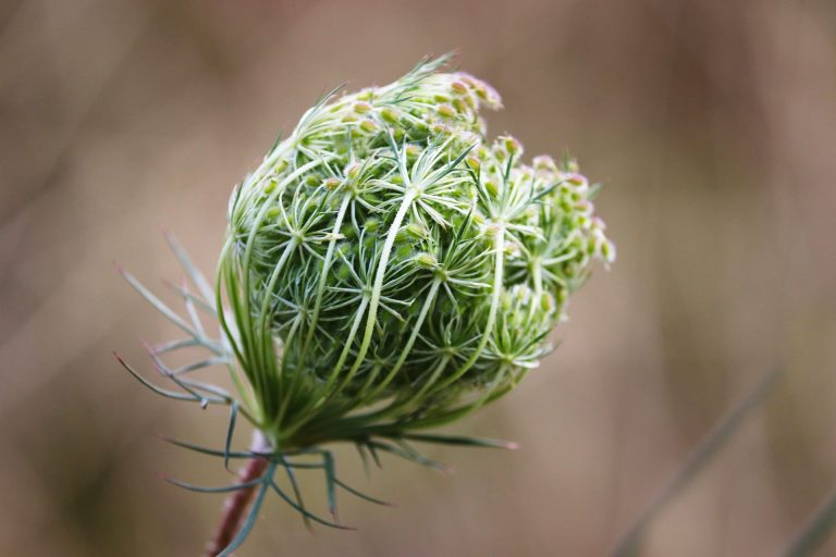 Naturcoaching in München